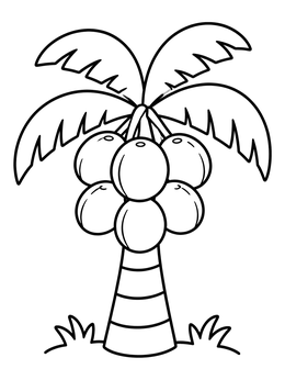 A simple coconut coloring page featuring a small palm tree with a big cluster of coconuts.