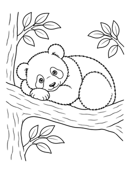 A fluffy cub rests on a sturdy bough in this panda coloring page.