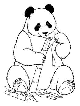 A panda coloring page showing a fluffy bear sitting down to peel a fresh bamboo stalk.