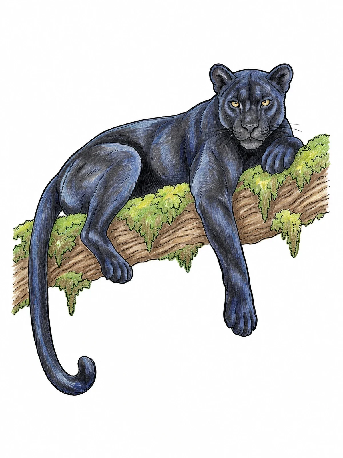 Colored example of the Panther Resting On A Tree Branch coloring page
