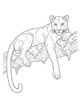 Free printable Panther Resting On A Tree Branch coloring page
