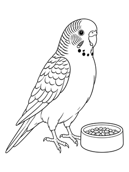 Free printable Parakeet Beside A Seed Bowl coloring page