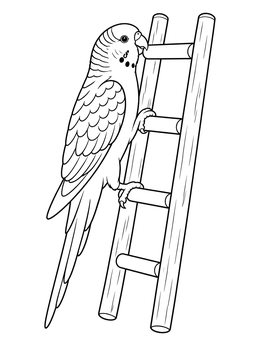 Free printable Parakeet Climbing A Wooden Ladder coloring page