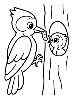 Free printable Parent Woodpecker Feeding Cute Chick coloring page
