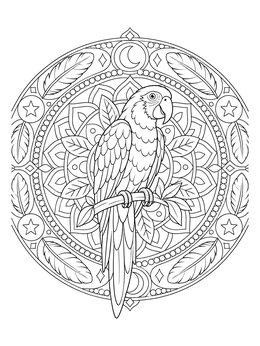 A detailed parrot coloring page set within a circular mandala with stars and feathers.