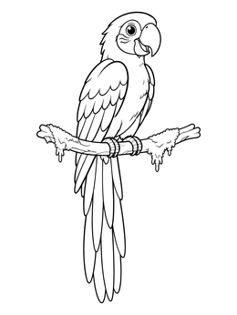 A cheerful macaw perches on a branch in this parrot coloring page.