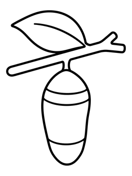 Free printable Chrysalis Hanging On A Twig coloring page