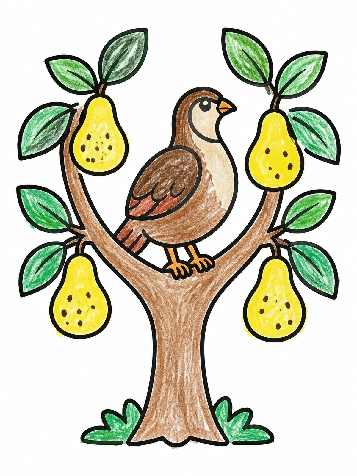 Colored example of the Bird In A Pear Tree coloring page