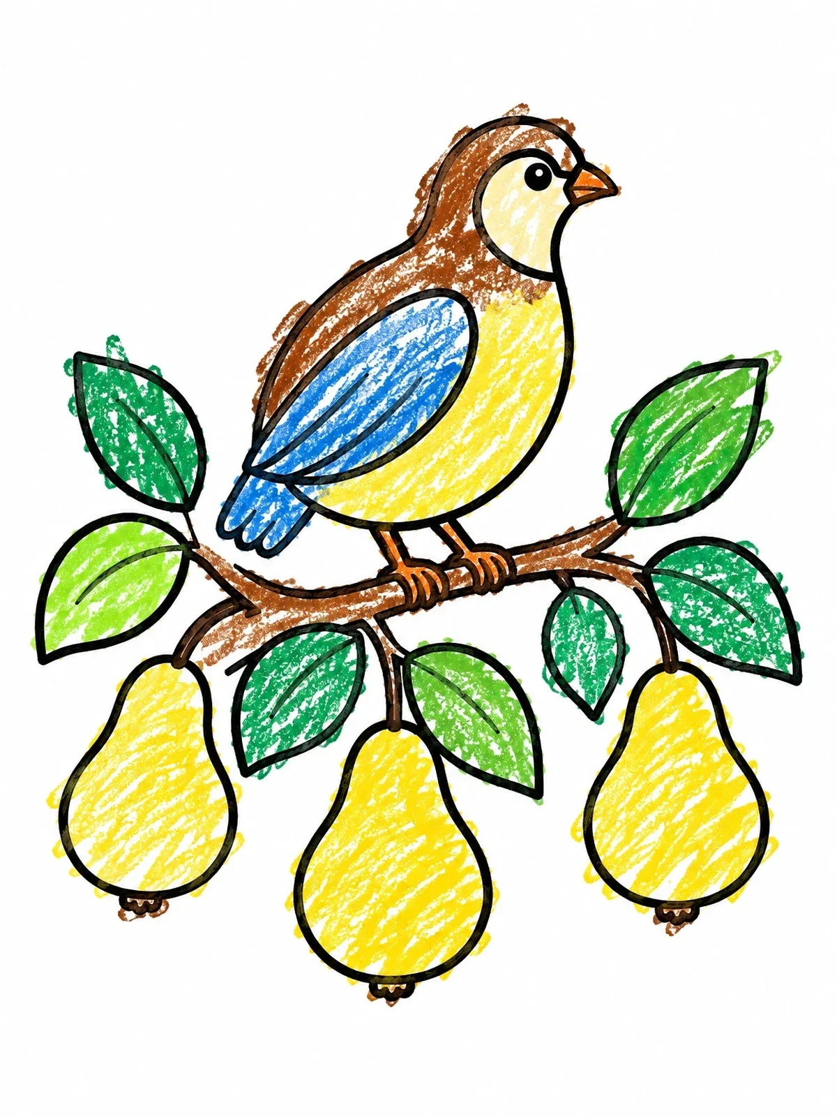 Colored example of the Bird Perched On A Pear Branch coloring page