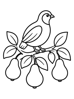 Free printable Bird Perched On A Pear Branch coloring page