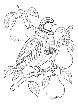 A cute partridge in a scarf perches near fruit in this pears coloring page.