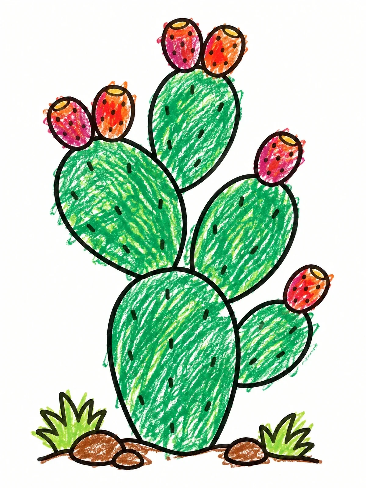 Colored example of the Prickly Pear Cactus With Fruit coloring page