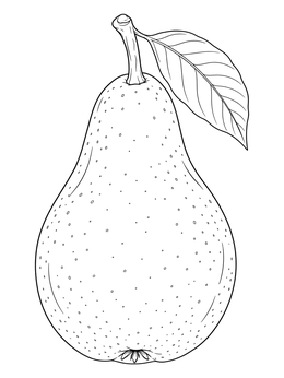 A detailed botanical illustration in this pears coloring page featuring a ripe pear with a leaf.