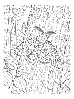 Detailed peppered moth coloring page resting on textured tree bark in a forest.