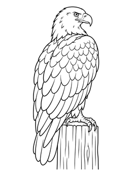 A detailed bald eagle coloring page featuring the bird perched calmly on a wooden post.