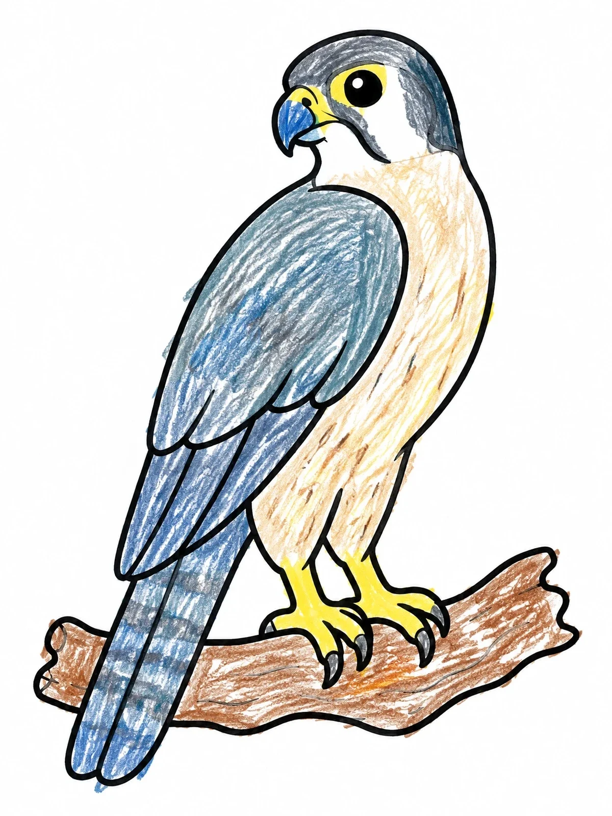 Colored example of the Perched Falcon On A Branch coloring page
