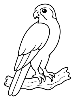 Free printable Perched Falcon On A Branch coloring page