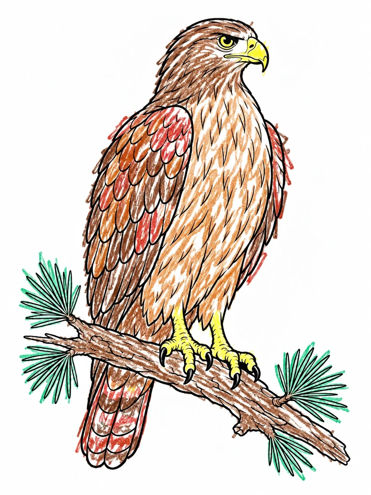Colored example of the Perched Hawk On Pine Branch coloring page