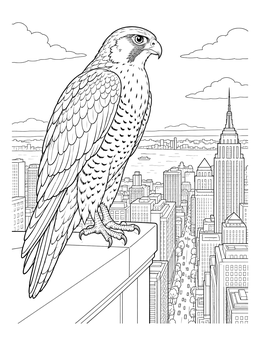 A detailed peregrine falcon coloring page perched high on a skyscraper ledge above the city.