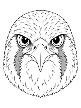 Detailed falcon coloring page showing a front-facing head portrait with sharp eyes.