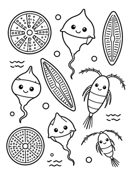 Free printable Cute Microscopic Plankton And Diatoms coloring page