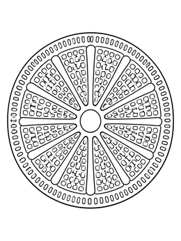 Geometric centric diatom structure featured in a phytoplankton coloring page.