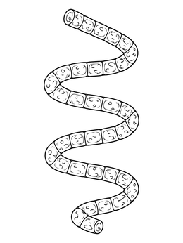 Free printable Spiral Spirulina Algae Filament coloring page