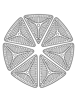 Geometric phytoplankton coloring page showing triangular diatoms in a radial pattern.