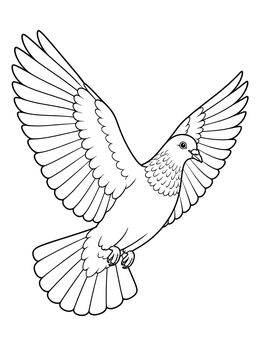 A detailed pigeon coloring page showing a bird gliding with wings wide open.
