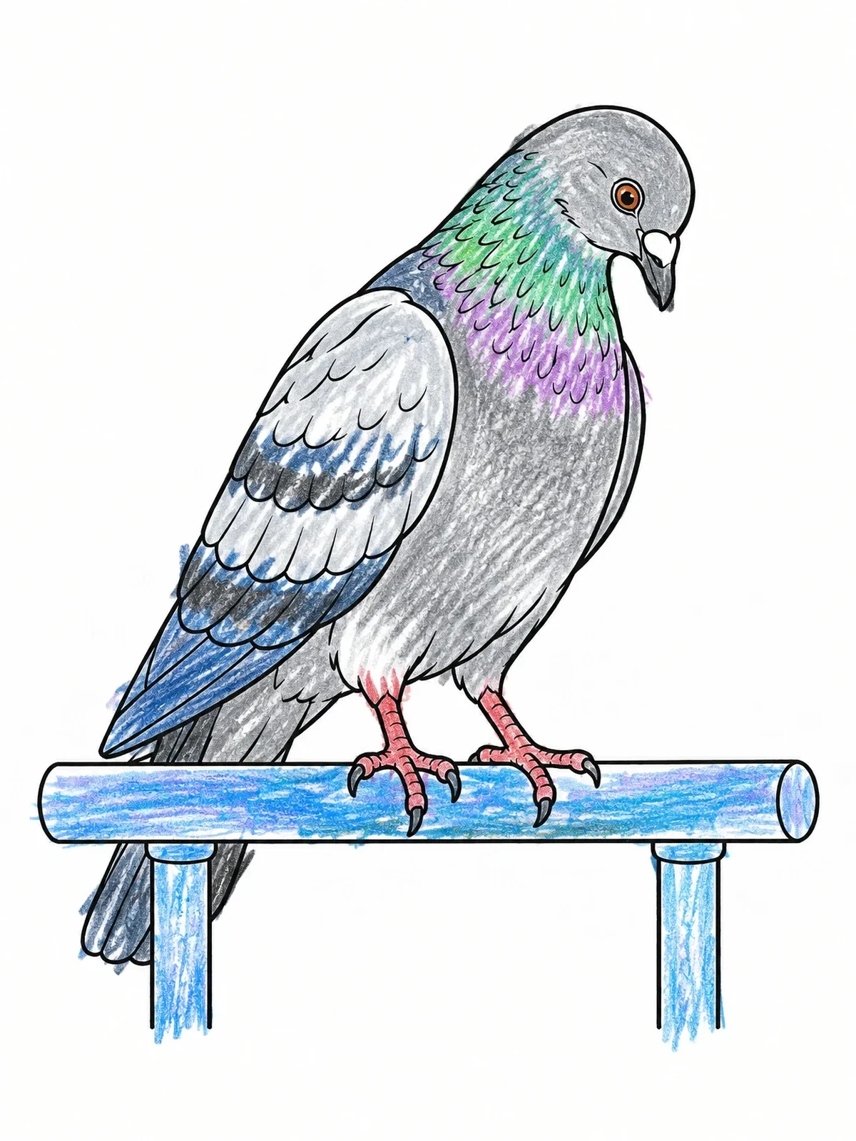 Colored example of the Pigeon Perched On A Railing coloring page