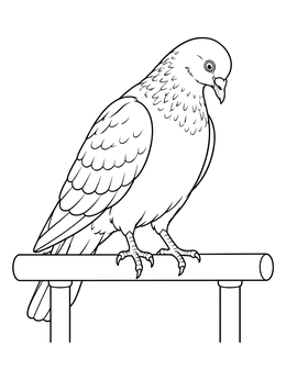 A detailed pigeon coloring page showing a bird perched calmly on a metal railing.