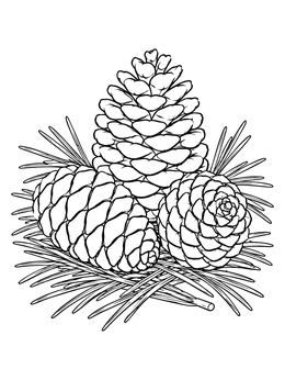 Free printable Pine Cones On Forest Needles coloring page