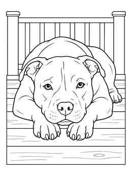 Free printable Pitbull Resting On Porch coloring page
