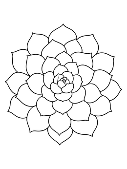 Top-down view of an echeveria rosette in this plant coloring page.