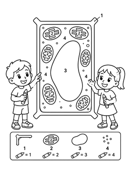Free printable Color By Number Plant Cell Diagram coloring page
