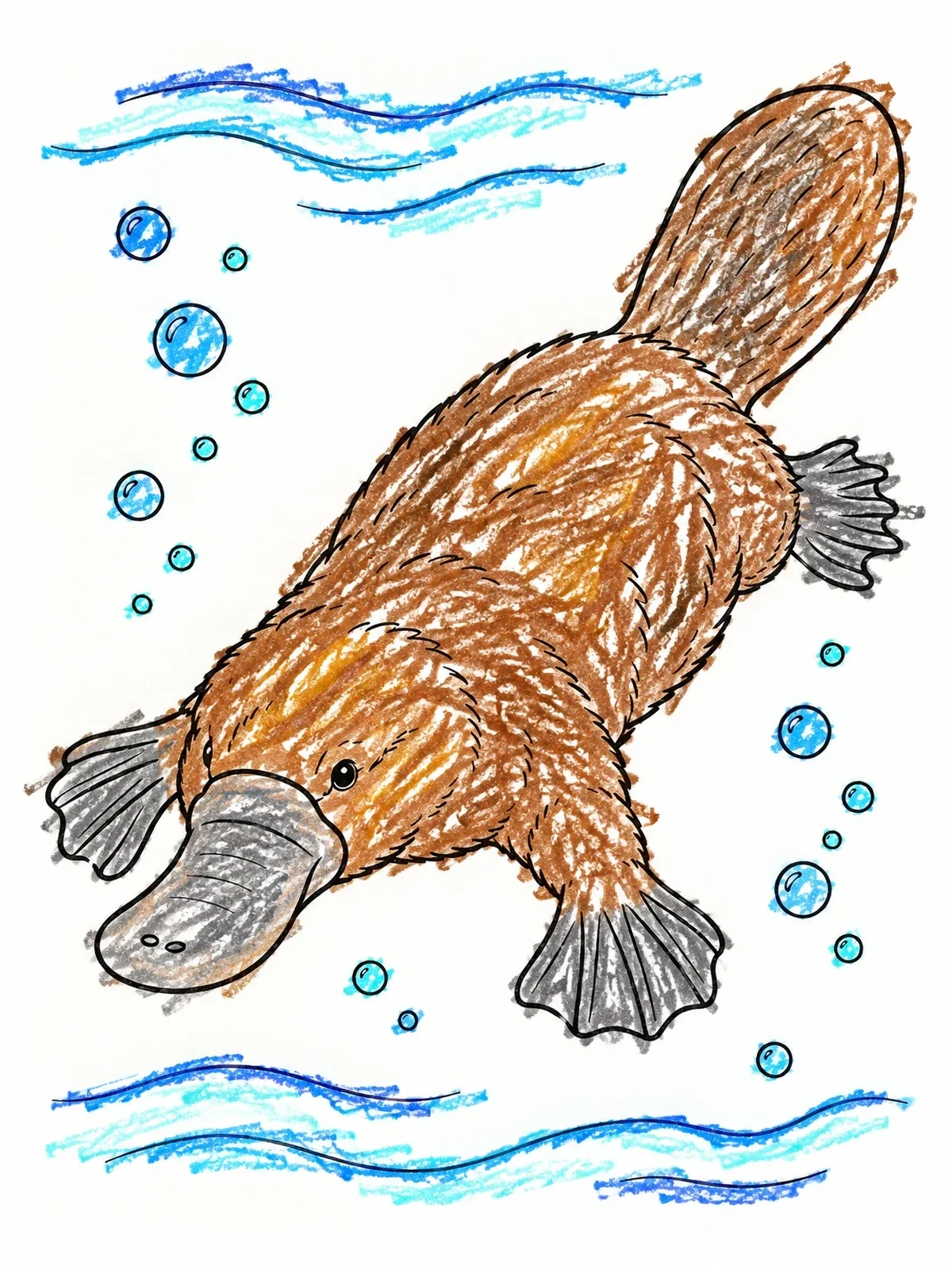 Colored example of the Platypus Swimming Underwater With Bubbles coloring page