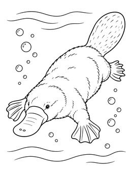A detailed platypus coloring page showing the animal diving underwater surrounded by bubbles.