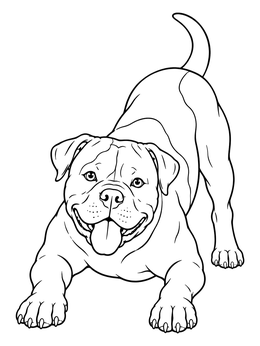 Free printable Playful American Bulldog In Play Bow coloring page