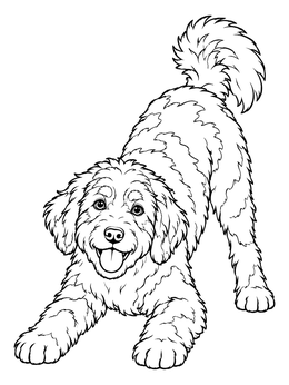 Free printable Playful Aussiedoodle In Bow Stance coloring page