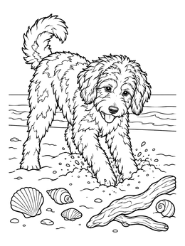 Free printable Playful Aussiedoodle Digging In The Sand coloring page