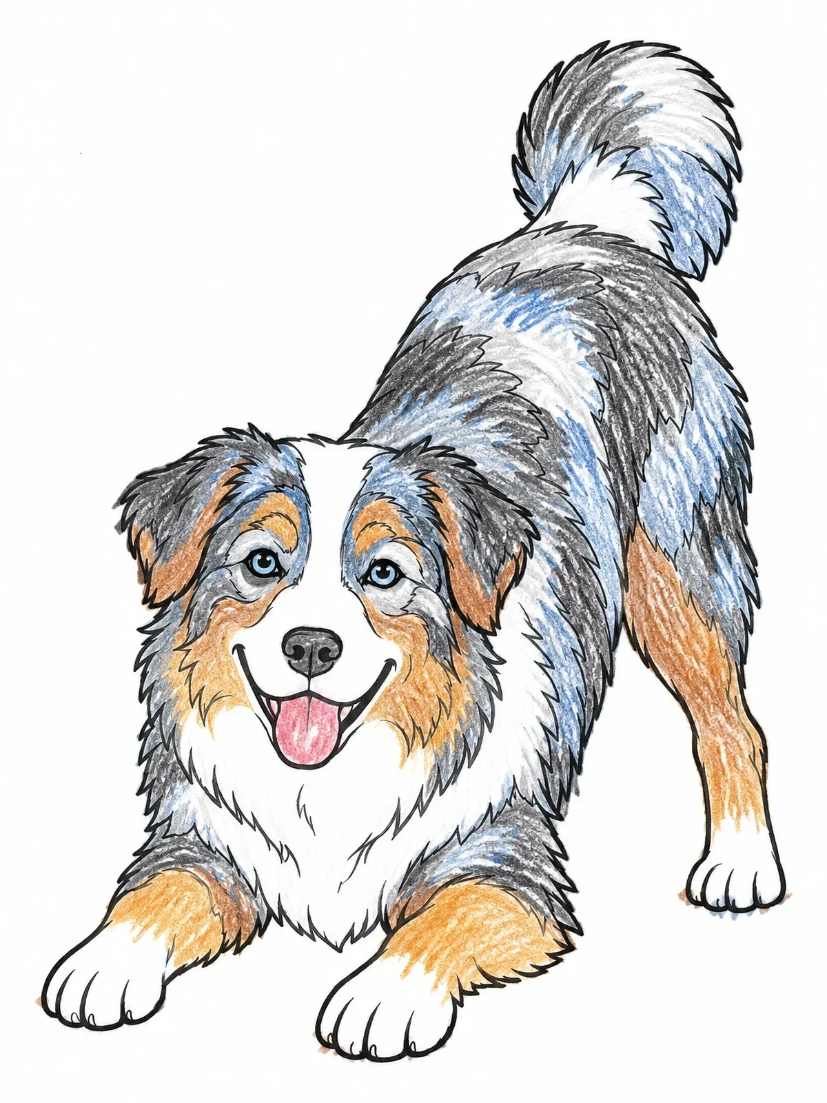 Colored example of the Playful Australian Shepherd Bowing coloring page
