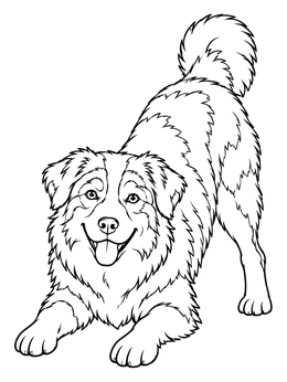 Free printable Playful Australian Shepherd Bowing coloring page
