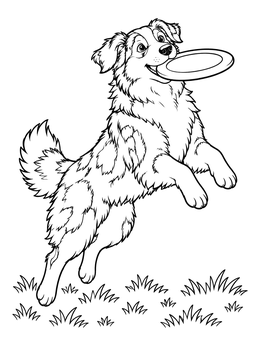 Free printable Playful Australian Shepherd Catching Frisbee coloring page