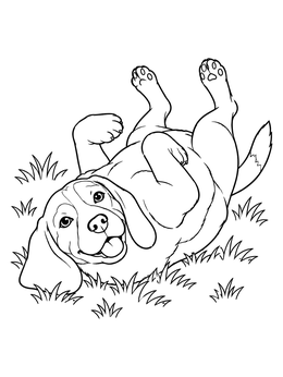 A cheerful beagle coloring page showing the puppy rolling on its back in the grass.