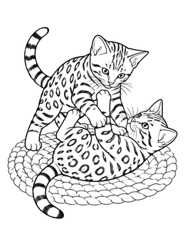 Free printable Playful Bengal Kittens On Rug coloring page