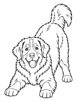 Free printable Playful Bernese Mountain Dog Bowing coloring page