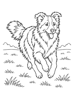 Free printable Playful Border Collie Running Outdoors coloring page