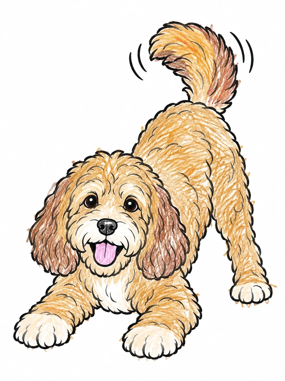 Colored example of the Playful Cockapoo In Bow Stance coloring page