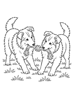 Two fluffy pups play tug-of-war in this cute collie coloring page.