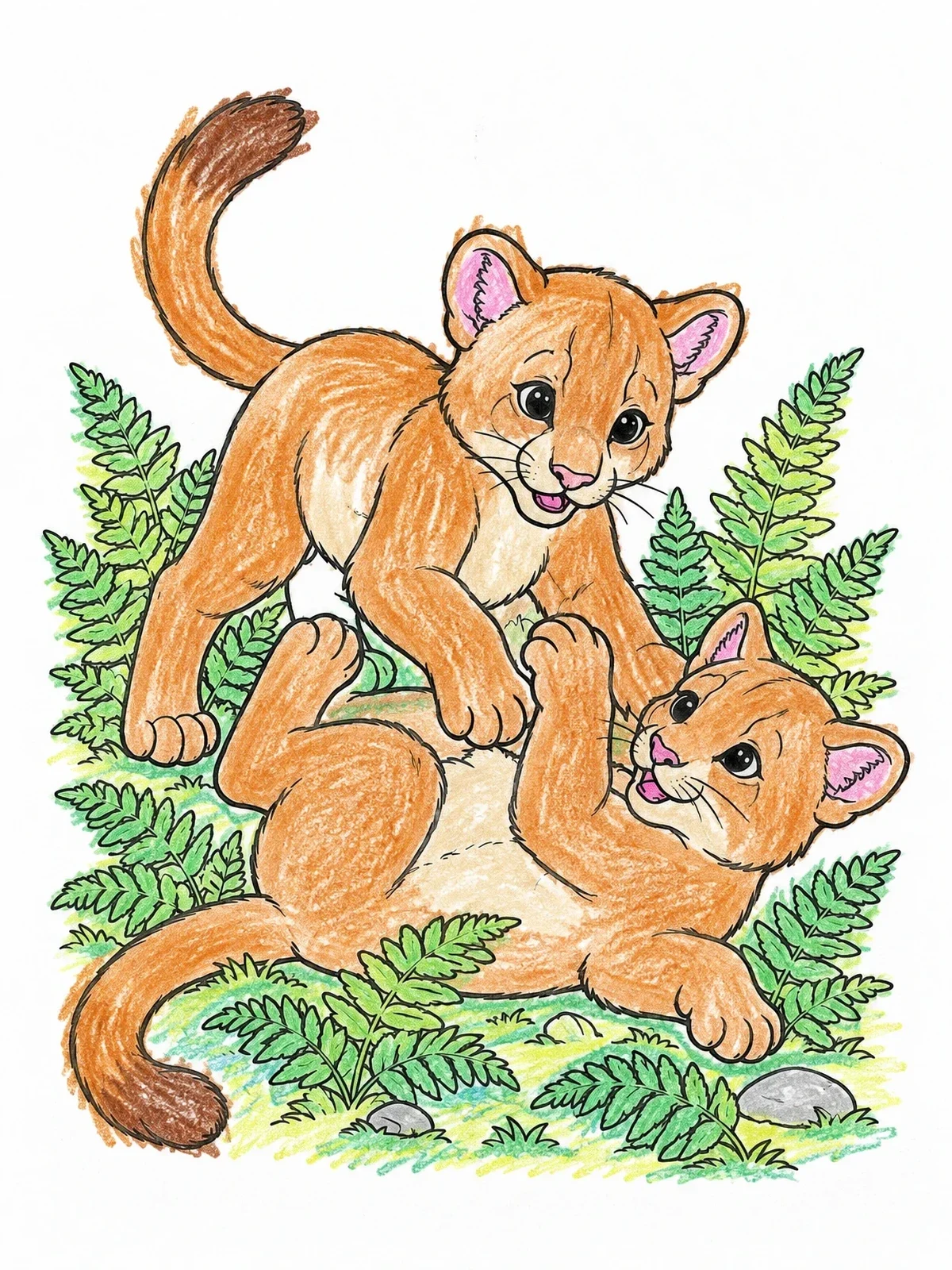 Colored example of the Playful Cougar Cubs In Ferns coloring page